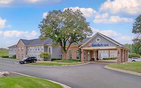 Comfort Inn Plainwell